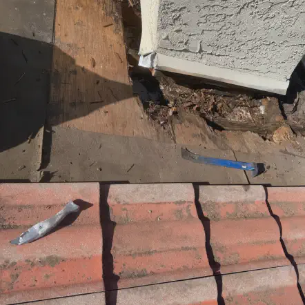 Our Work