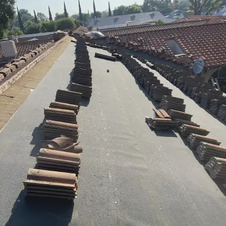 Our Work